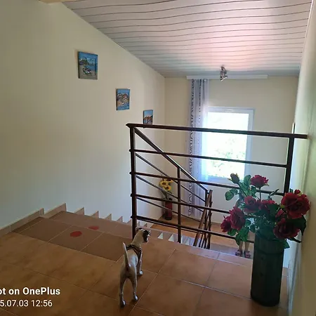 Penzion фернандес 3*